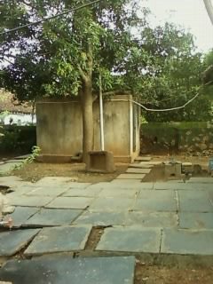 316955_147175442039613_2195835_n