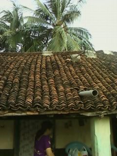 318716_147175465372944_205913_n