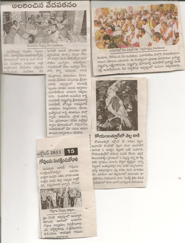 tella kaki,gopuja ,veda sabhalu