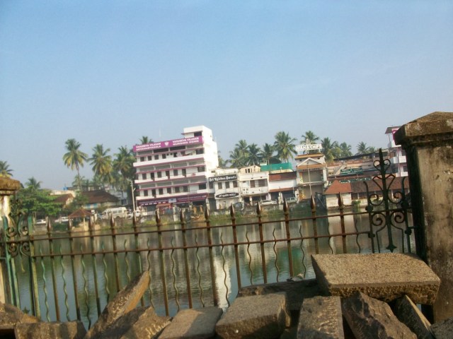 100_0633 - Copy - Copy (2)